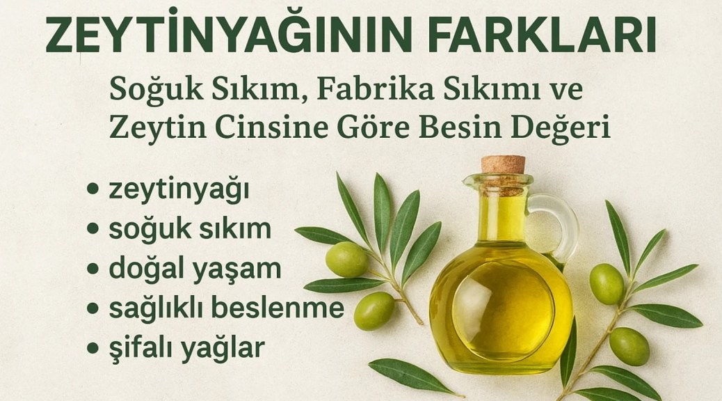 Cam şişede sızma zeytinyağı, yanında taze zeytin dalları ve zeytin meyveleriyle doğal bir masa üzerinde yer alıyor.